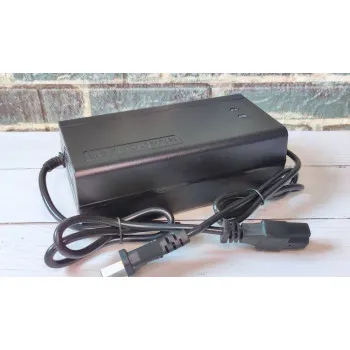 Зарядний пристрій 29,2В 8А